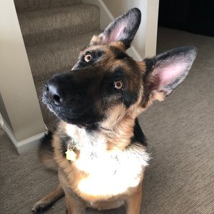 Meet your Posher, Karen